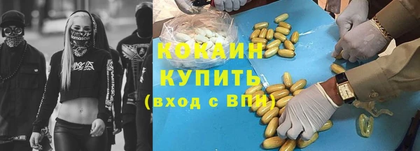 сатива Бородино