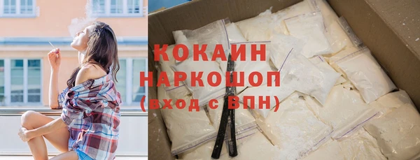 сатива Бородино