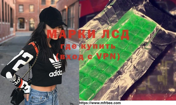 сатива Бородино