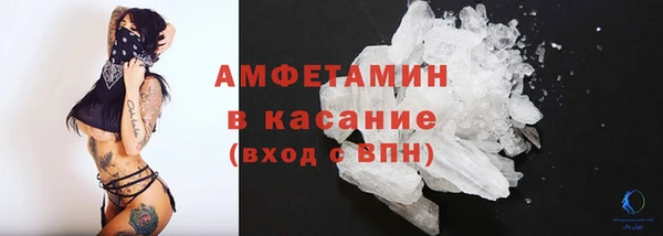 сатива Бородино