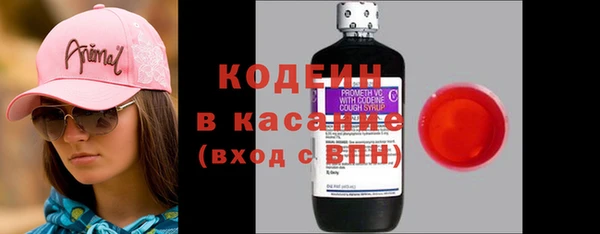 сатива Бородино