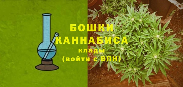 молекула духа Бугульма