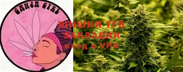 сатива Бородино