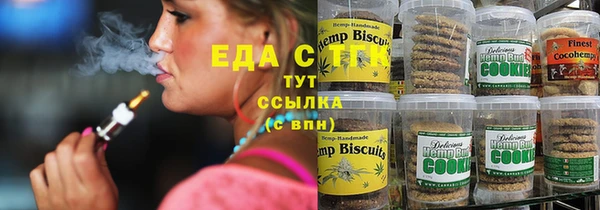 сатива Бородино